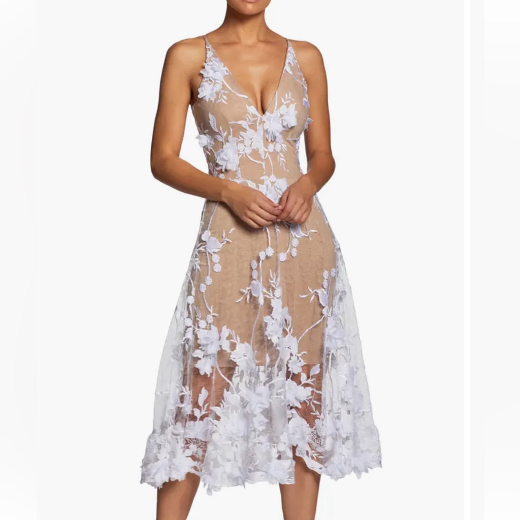 Dress The Population Audrey Embroidered Fit & Flare Dress